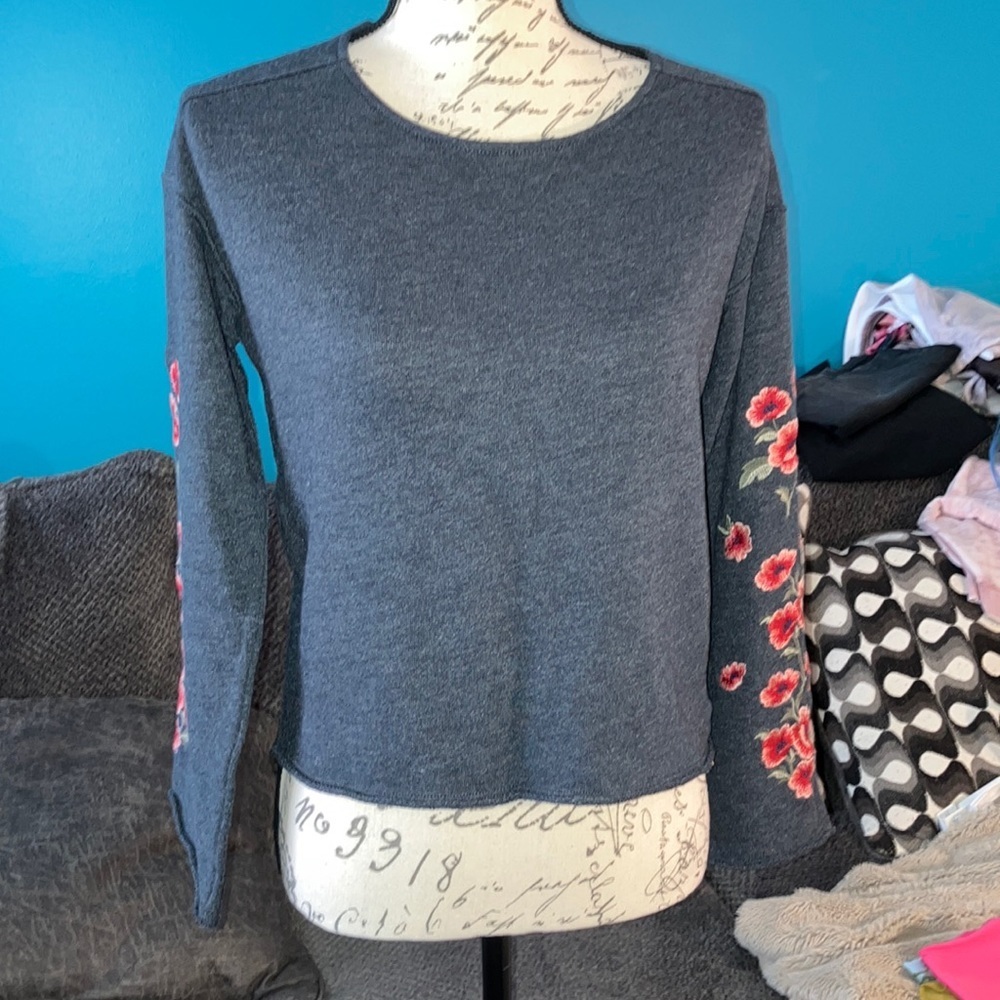 American Eagle Cropped Embroidered Sweatshirt, XS